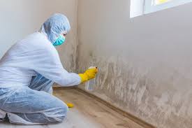 Environmental Consulting for Mold Prevention in French Island, WI